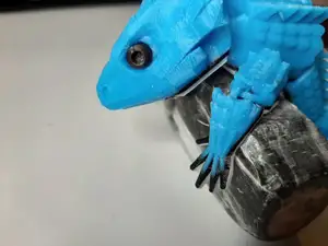 Hollow Skink Eyes