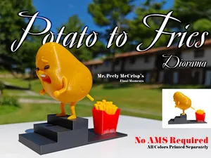 Potato to French Fries - How are Fries Made ?