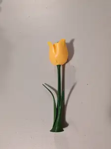 Tulip with Stem