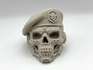 Cyber Beret