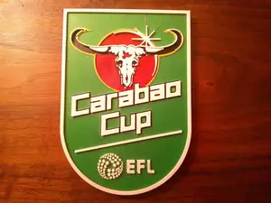 EFL Carabao Cup Logo Coaster of Plaque