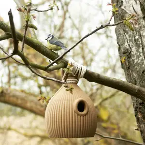 The Birdhouse