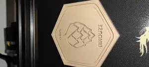 Coaster Hops
