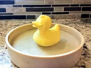 Floating Rubber Duck