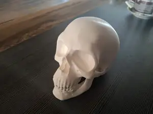 Skull for towbar / Lebka na tažné