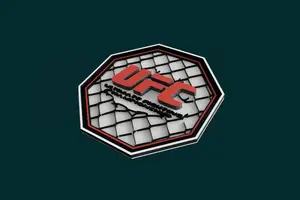 UFC wall_art