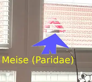 Fensterscheiben-Vogel-Häuschen
