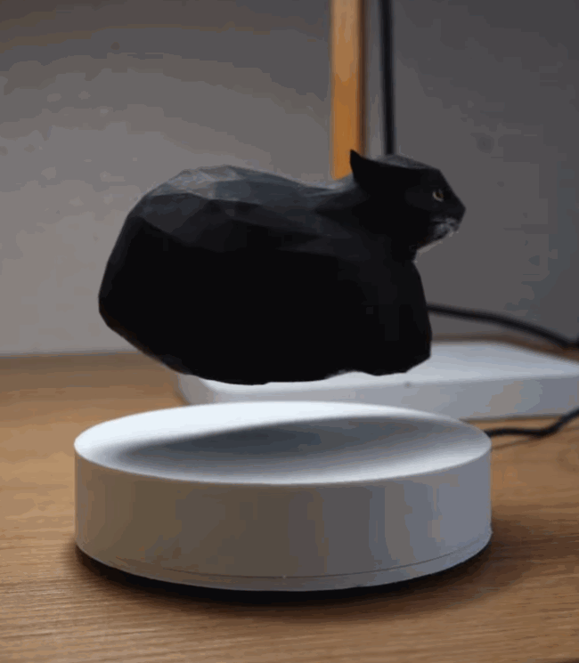 Floating Maxwell the Cat