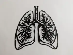 Human Lungs Outline Model / Wall Art