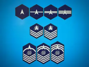 Specialist 1 - Chief Master Sergeant (U.S. Space Force)
