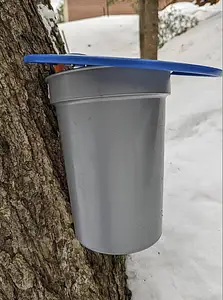 Maple sap spout for minimal tree damage