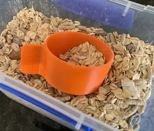 One-third (1/3) Measuring Cup