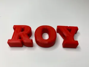 Dog Tag for Roy