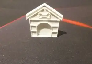 Dog house dog tag