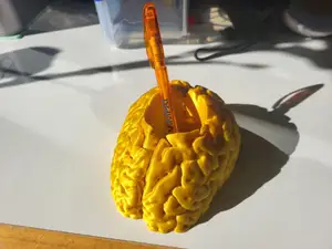 Brain Pen/pencil holder or table organiser