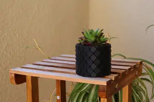 Dragon Scales Pot with drainage holes