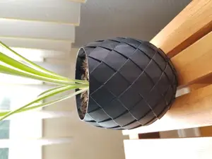Dragon egg plant pot