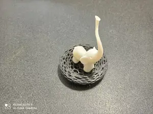 Ring Holder