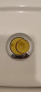 Toilet button set