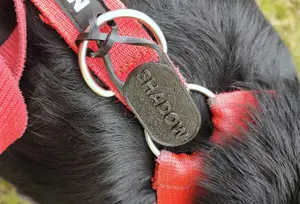 Flexible DogTag with a loop