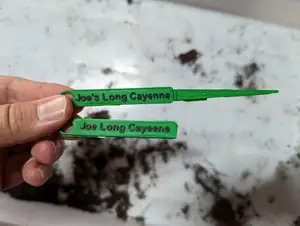 Garden Vegetable Name stakes and tie