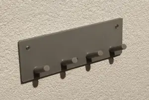 Wall-mounted key hooks