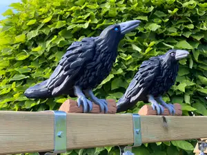 Viking Ravens (playground decor)