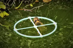 Fish feeder for garden ponds - clean ponds - yes please :)
