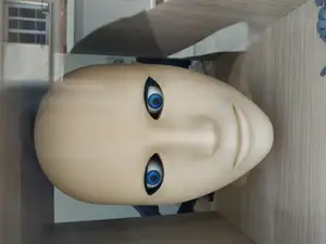 Remix of the Eye animatronic (with creepy human face)
