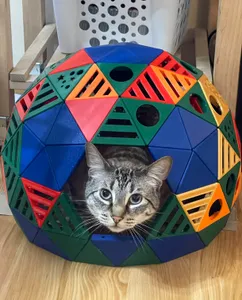Geodesic Dome Can House - Remixes for Panel 1