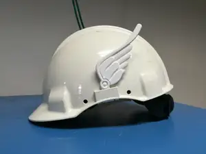 Wings for the hardhat