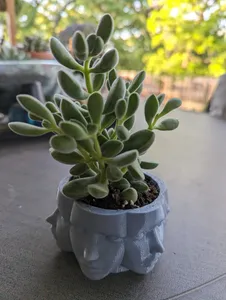 Face Planter