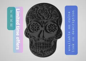 Human Skull 3d model