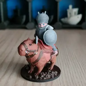 Capybara Rider