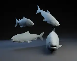 Fishy Fishy Fishy Fish
