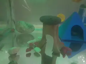 Wood Stump Tunnel for Aquarium