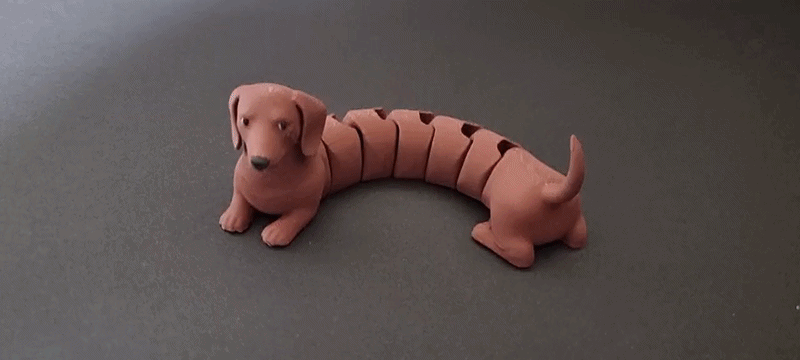 Articulated dachshund flexi multi color