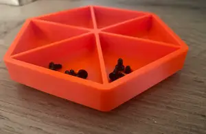 Screw holder / screw organizer