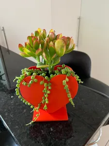 Heart Planter Big