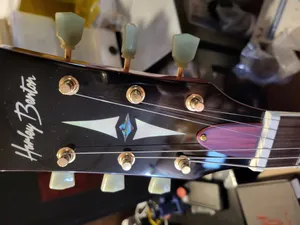 Harley Benton SC-550 II Truss Rod Cover