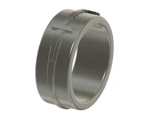 Sword Ring of Kirito & Asuna from Sword art Online
