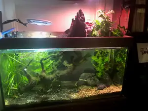 Aquarium, Terrarium, Green wall, Microgreen and Aquaponic substrate building block