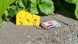Cheese Keychain