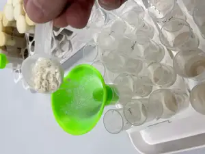 Dry food funnel (Drosophila melanogaster)