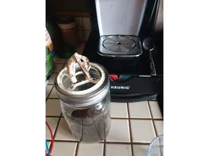 Keurig K-Cup Extractor Recycler for wide mouth mason jar