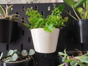 Plant pot holder - IKEA Skadis