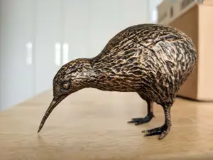 Kiwi bird - In two parts