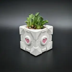 Heart insert for Companion cube planter