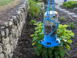 Mason Jar Bird Feeder Lid