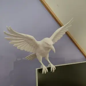 crow in flight